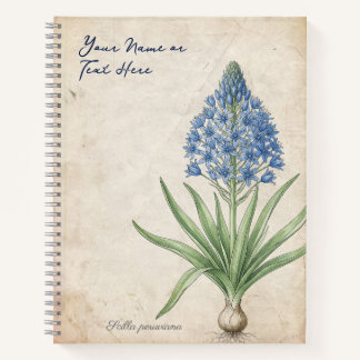 Vintage Renaissance Peruvian Squill Notebook