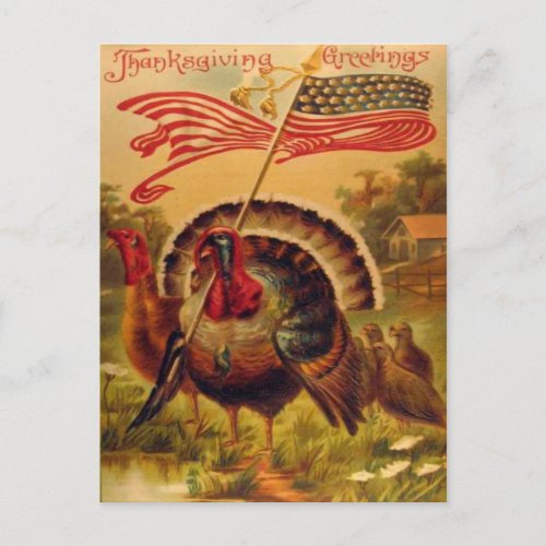 Vintage Reproduction Patriots Turkeys Thanksgiving Postcard