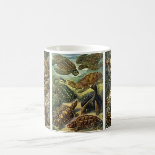 Vintage Reptiles and Amphibians by Ernst Haeckel Coffee Mug