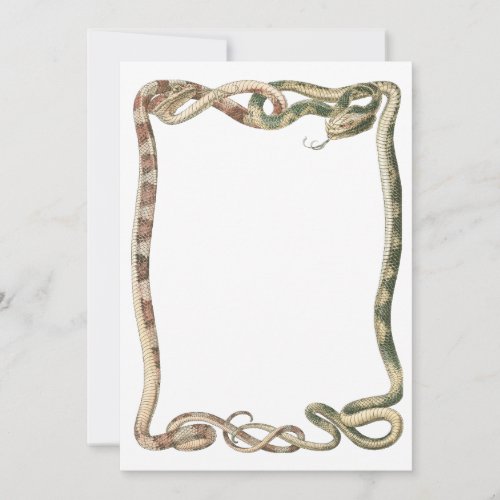 Vintage Reptiles Entwined Snakes or Vipers Border
