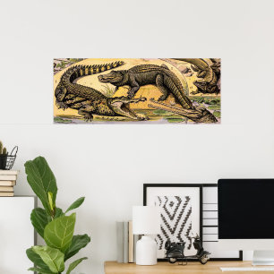 Vintage Reptiles Illustration by Adolphe Millot Poster