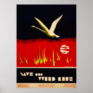 Vintage restored save our wild life trumpeter swan poster