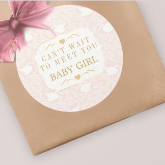 Vintage Retro Baby Girl Swan Pattern Baby Shower Classic Round Sticker