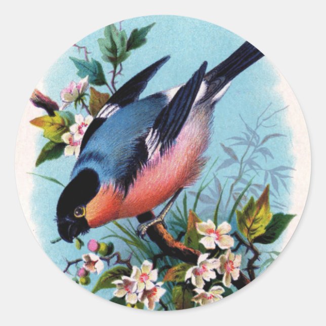 Vintage Retro Bird on a Branch Stickers (Front)