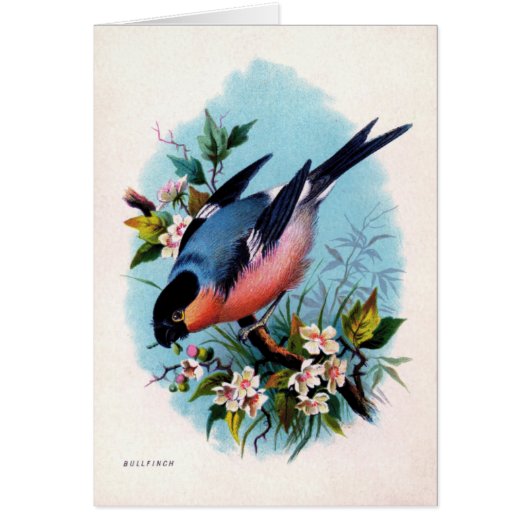 Vintage Retro Bird on Branch Card (Front)