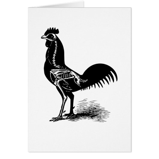 Vintage Retro Chicken Anatomy Sketch Card (Front)