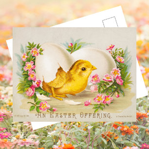 Vintage Retro Cute Chick Egg Floral Happy Easter Holiday Postcard