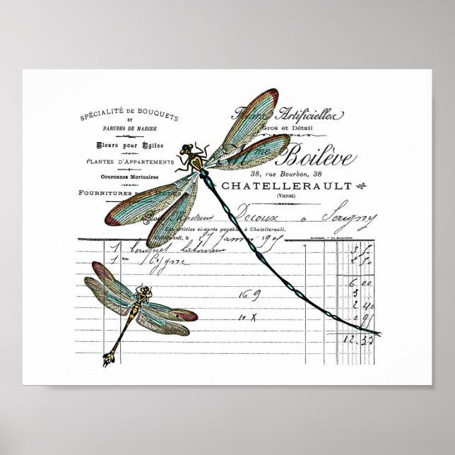 Vintage, Retro Design Frankreich - Libelle, Insekt Poster (Front)