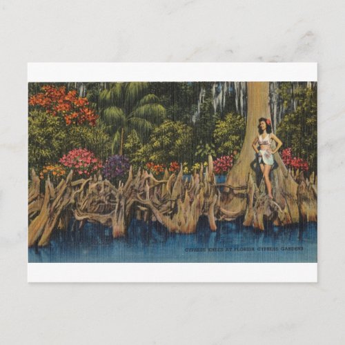 Vintage Retro Florida Cypress Gardens Postcard