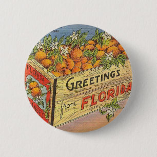 Vintage Retro Florida Oranges Button