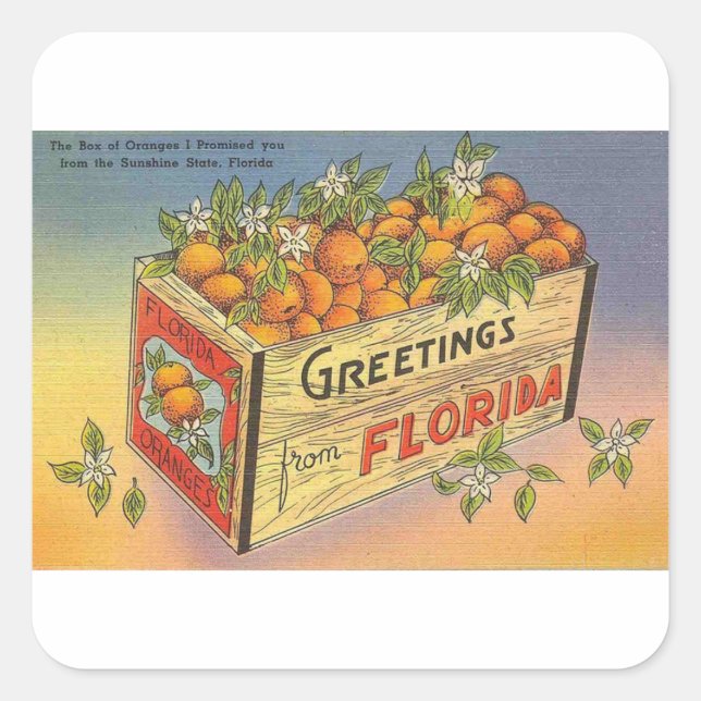 Vintage Retro Florida Oranges Square Sticker (Front)