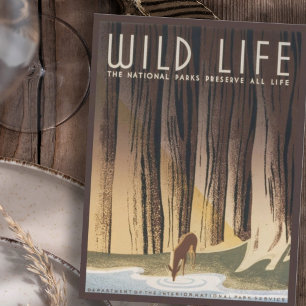 Vintage Retro Grand Wild Life National Park Postcard