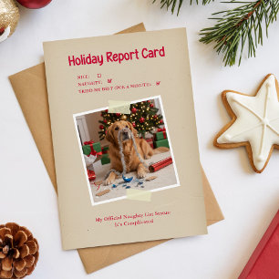 Vintage Retro Holiday Naughty Dog Photo Christmas Postcard