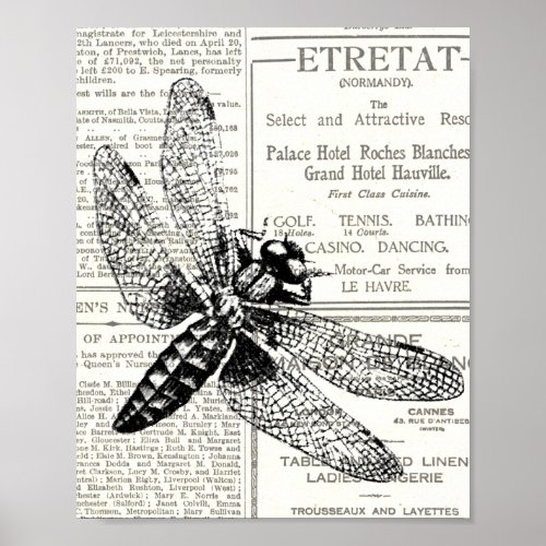 Vintage Retro Insect Newspaper Black and White Poster