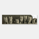 Vintage Retro Old Timey Kittens Kitties Cats Bumper Sticker at Zazzle