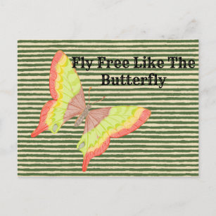 Vintage Retro Red Yellow Green Butterfly Postcard