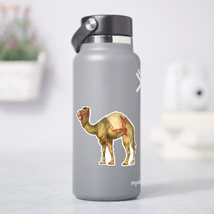 Vintage retro style circus performing camel sticker