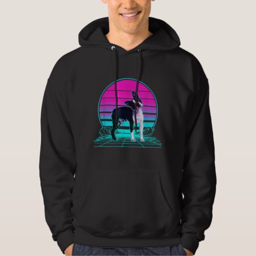 Vintage Retro Sunset Boston Terrier T_Shirt Hoodie