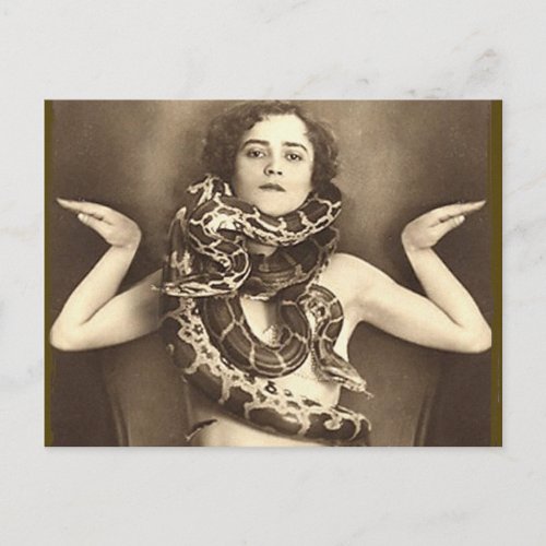 Vintage Retro Women Sideshow Snake Charmer Postcard