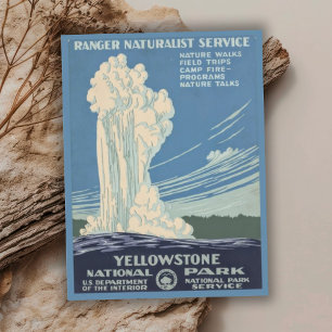 Vintage Retro Yellowstone National Park Travel Postcard