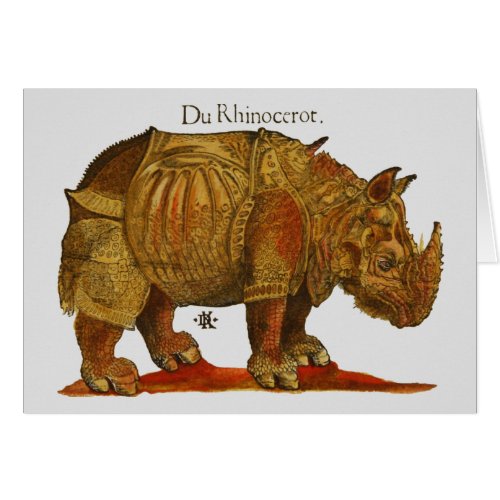 Vintage Rhino Durers Rhinoceros Antique