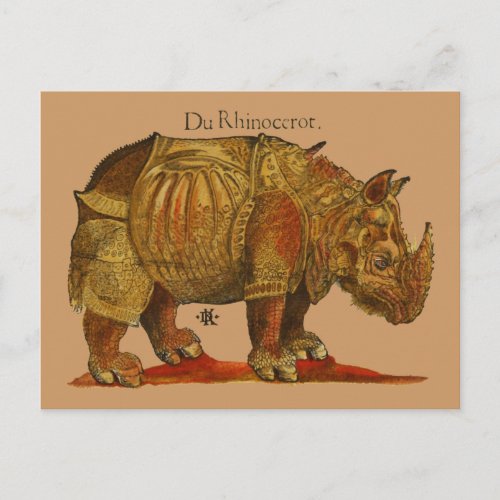 Vintage Rhino Durers Rhinoceros Antique Postcard