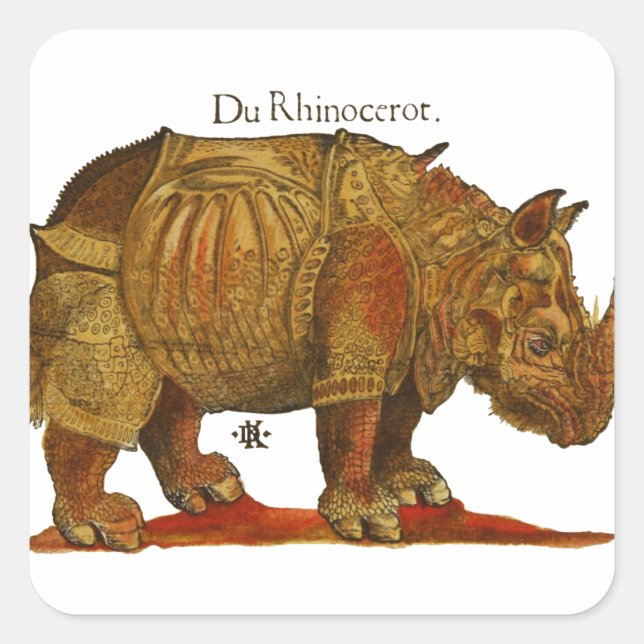 Vintage Rhino Durer's Rhinoceros Antique Square Sticker (Front)