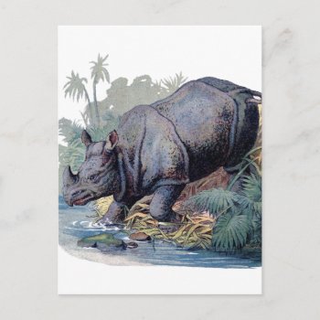 Vintage Rhino Postcard by BluePress at Zazzle
