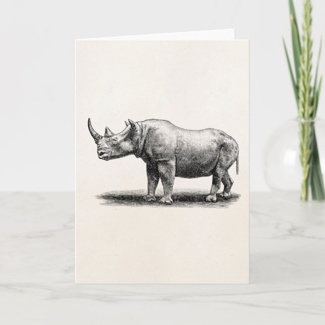 Vintage Rhinoceros Illustration Rhino Rhinos Card (Front)