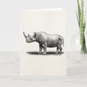 Vintage Rhinoceros Illustration Rhino Rhinos Card