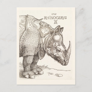Vintage Rhinoceros Postcard