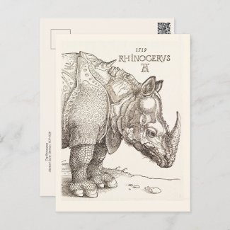 Vintage Rhinoceros Postcard