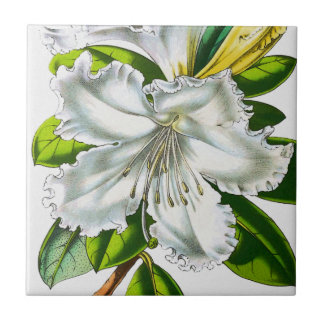 Vintage Rhododendron Botanical Ceramic Tile
