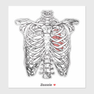 Vintage Ribcage & Heart Anatomy Halloween Sticker