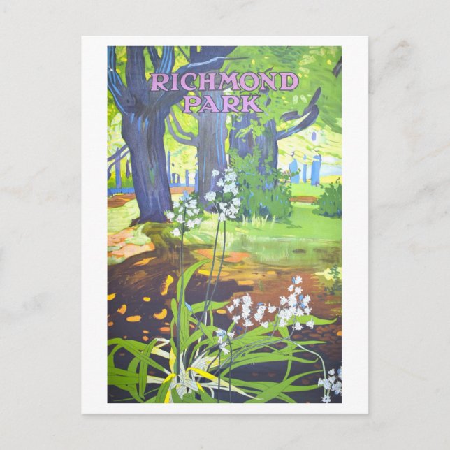 Vintage Richmond Park England Travel Poster Postcard (Front)