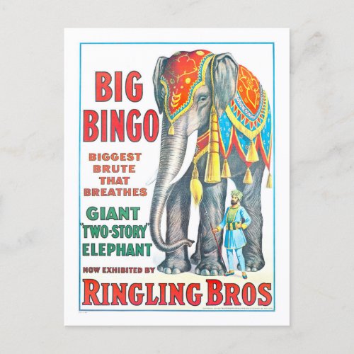 Vintage Ringling Bros Circus Ad _ Giant Elephant Postcard