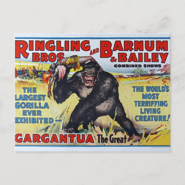 Vintage Ringling Bros Postcard (Front)