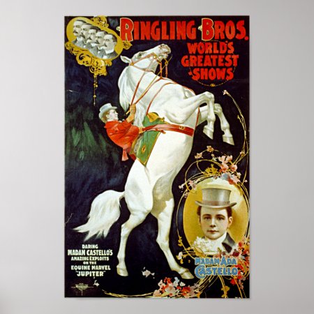 Vintage Ringling Bros. White Horse Poster