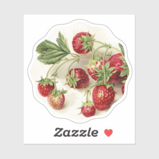 Vintage ripe red strawberries sticker