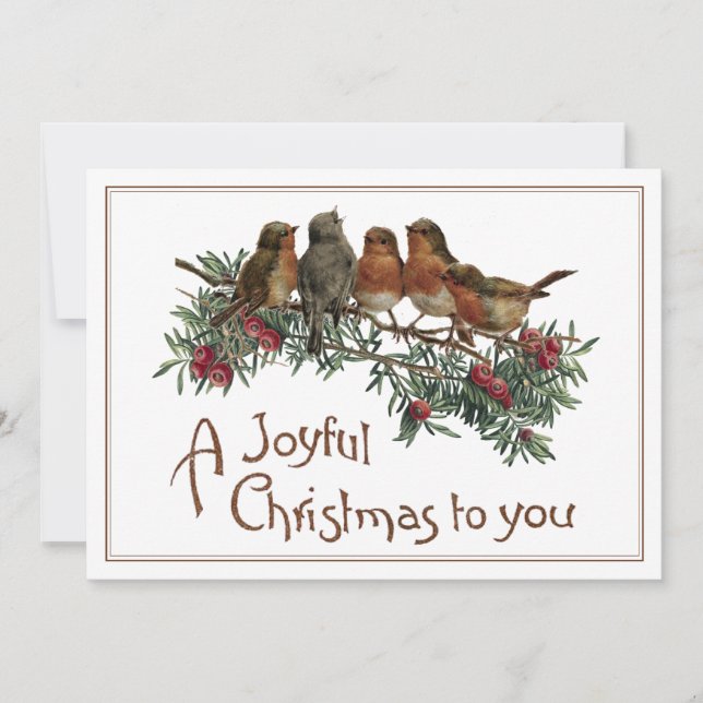 Vintage Robin Bird Christmas Evergreen Joyful Holiday Card (Front)