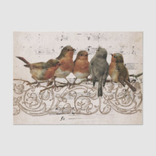 Vintage Robin Bird Music Scroll Vines Parchment Tissue Paper
