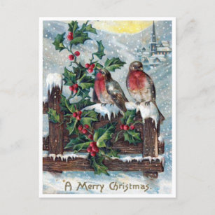 Vintage Robin Birds and Holly Merry Christmas Postcard