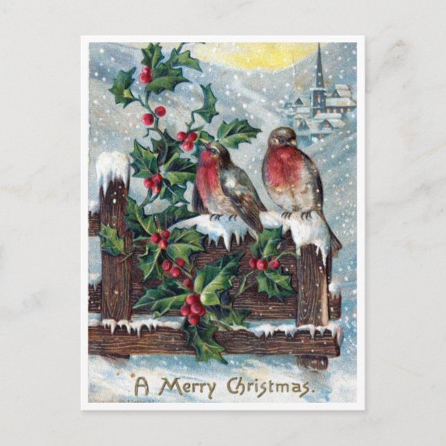 Vintage Robin Birds and Holly Merry Christmas Postcard (Front)
