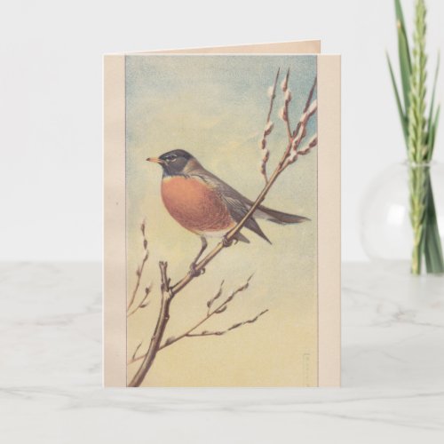 Vintage Robin Greeting Card