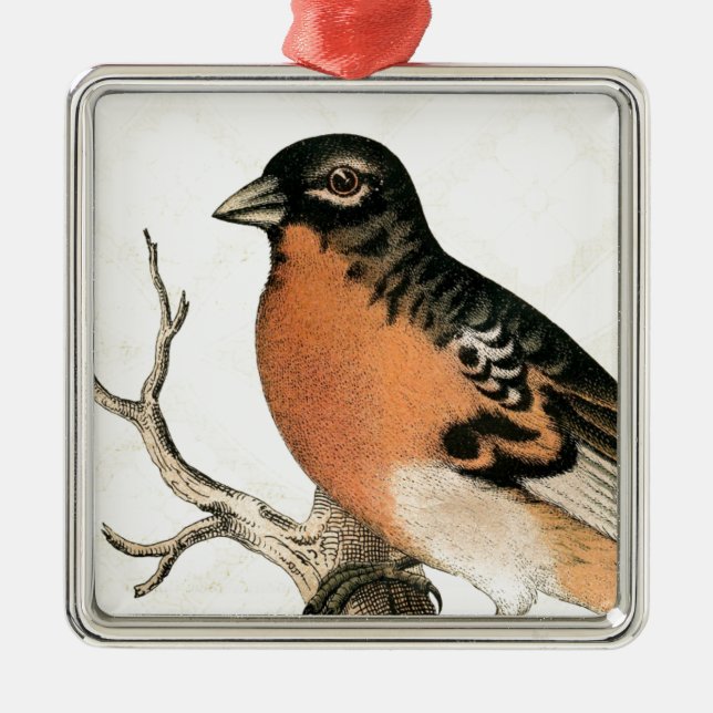 Vintage Robin Metal Ornament (Front)