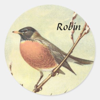 Vintage Robin Stickers by Customizables at Zazzle