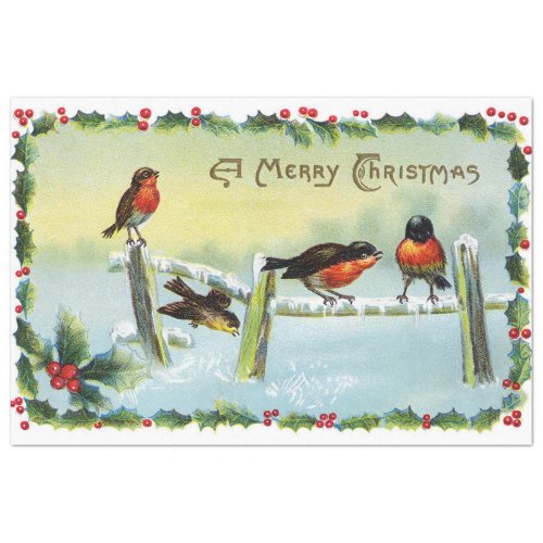 Vintage Robins Merry Christmas Tissue Paper