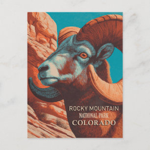 Vintage Rocky Mountain National Park Colorado Postcard