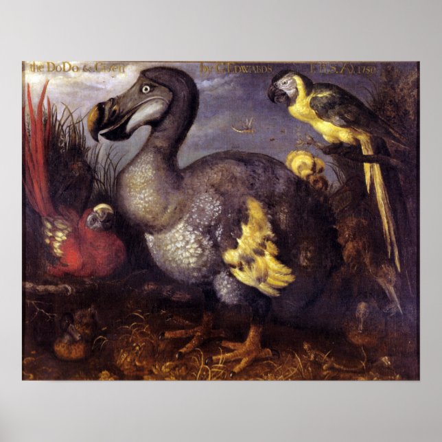 Vintage Roelant Savery Saverys Dodo Poster (Front)