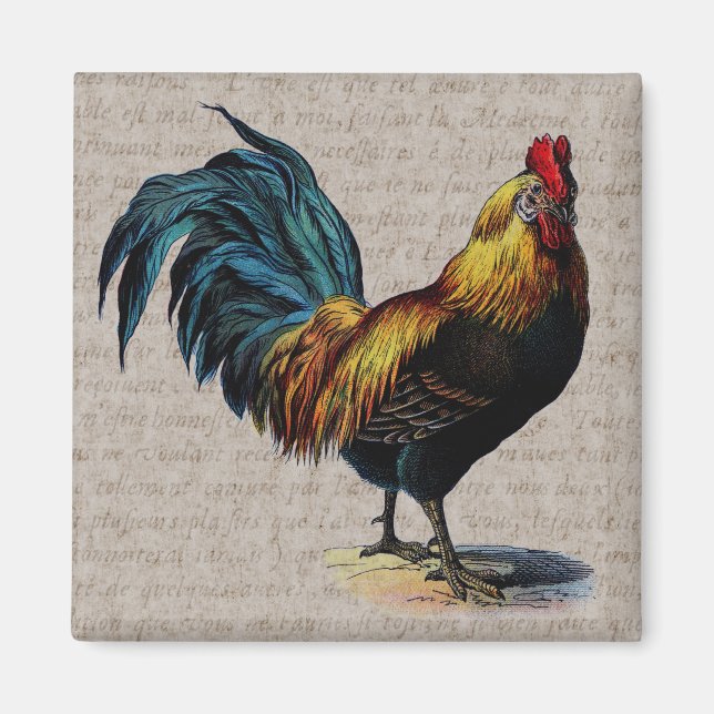 Vintage Rooster and Antique Text Collage - Custom Magnet (Front)